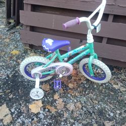 Toddler Bicycle 