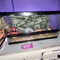 Aquarium Front Opening For Sale 