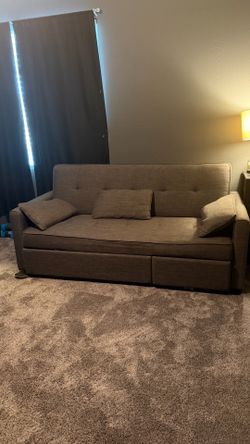 Pull out sleeper sofa