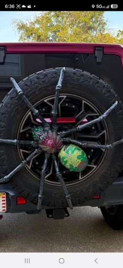 Spider