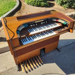 Organ 