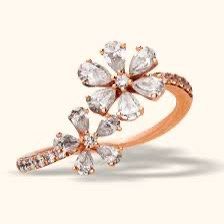 Duplicate Diamond Ring (T)