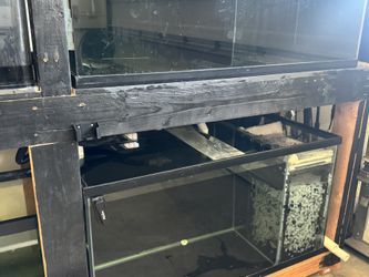 Fish Tank For Sale