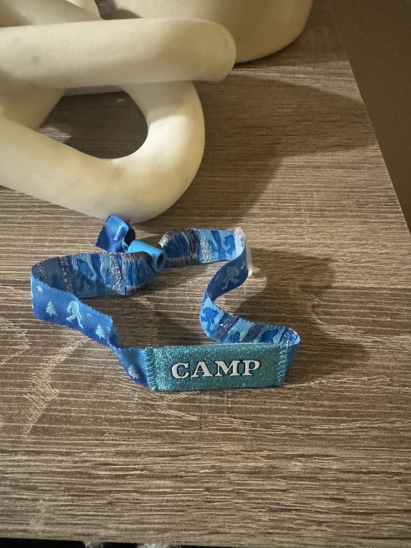 1 Camp Flog Gnaw Carnival Ticket