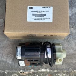 March Ac Pump 115V