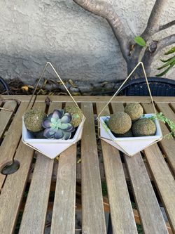 Wall Decor