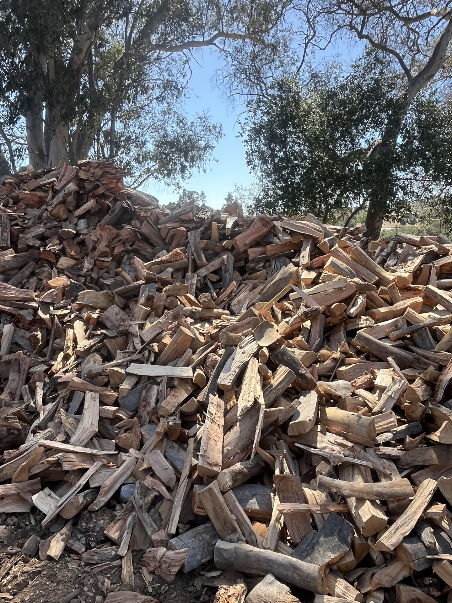 Firewood