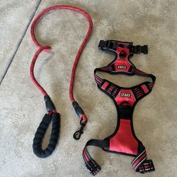 Dog Harness And Leash 