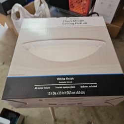 Flush Mount Ceiling Fixture Light 