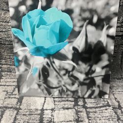 Stunning Turquoise Blue Rose Canvas Wall Art Trio – Black & White with Pop of Color – Modern Home Decor
