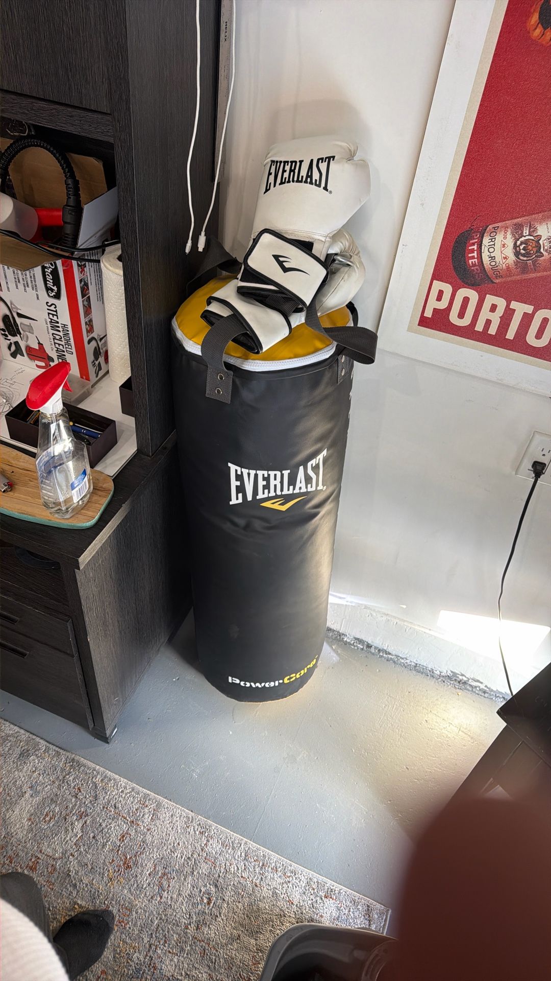 Everlast Punching bag With gloves And Mount