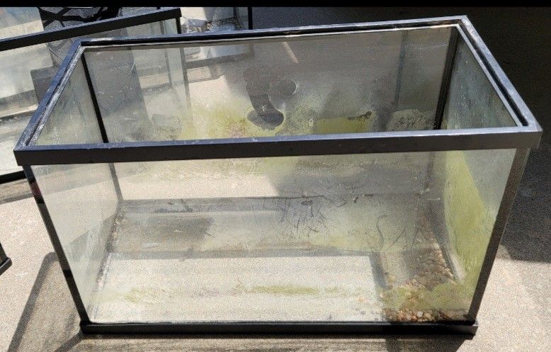10 Gallon Fish Tank