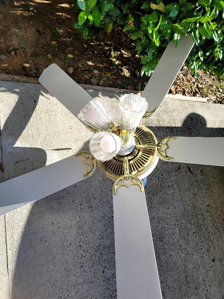 Ceiling Fan With Light