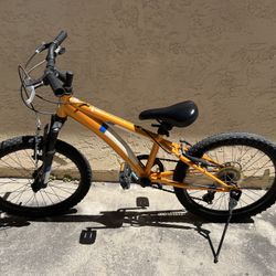 Diamondback Cobra 20 mountain bike