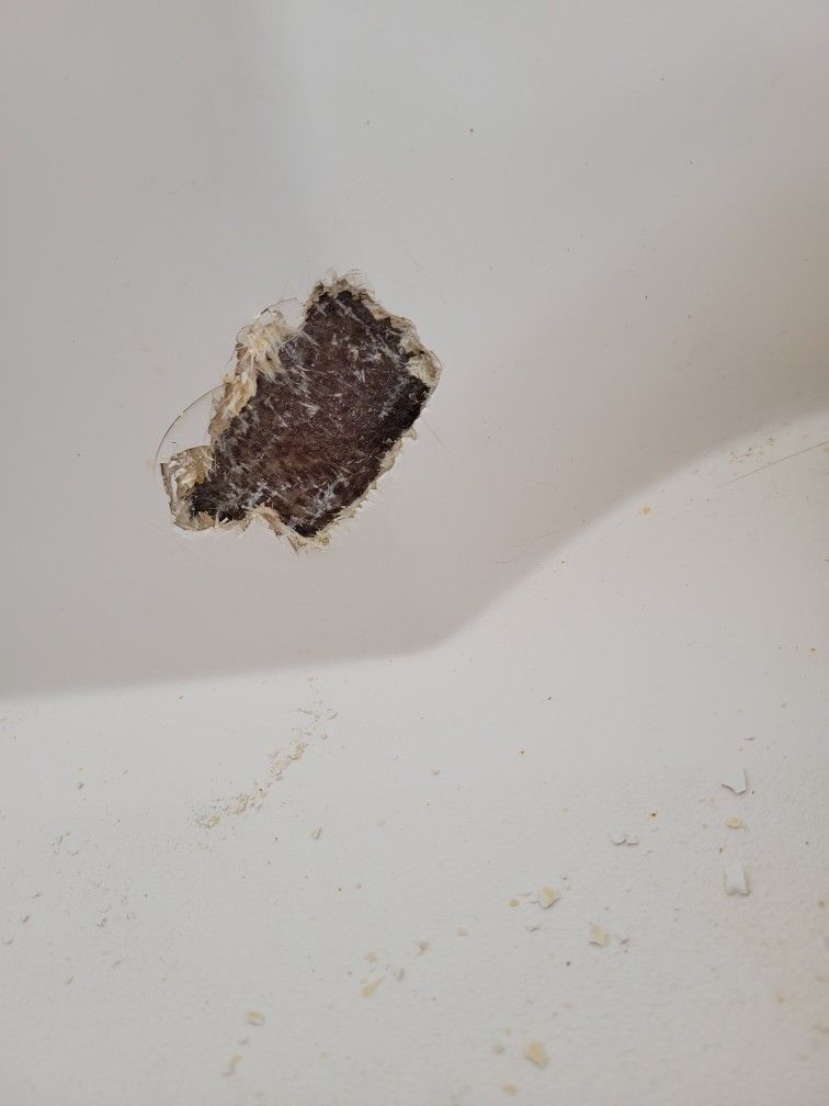 Small Fiberglass Repairs And Buff And Wax