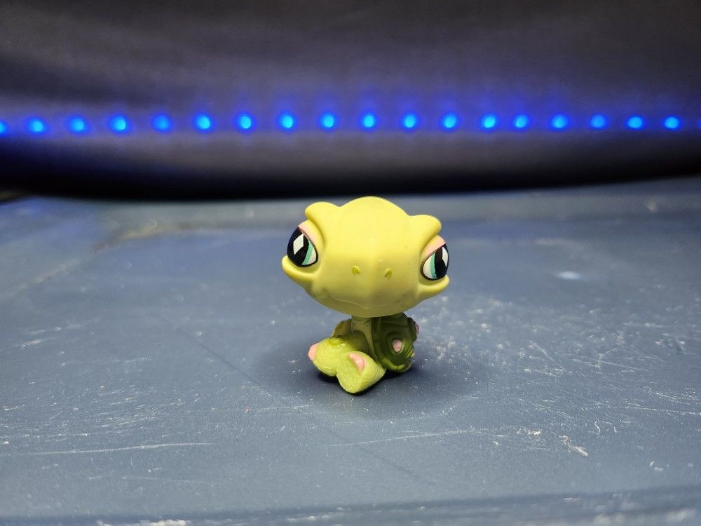 Turtle LPS #504 | Authentic Littlest Pet Shop
