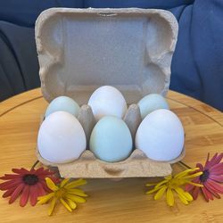 Farm Fresh Duck Eggs