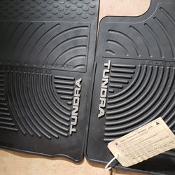 Tundra All Weather Floor mats