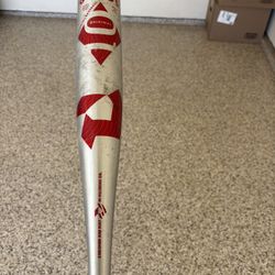 Baseball Bat