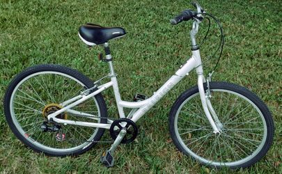 Raleigh Comfort Bike