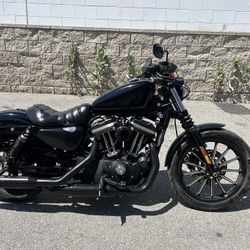 2013 Harley Davidson Sportster XL883 