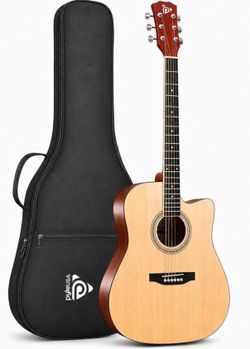 Pyle acoustic guitar