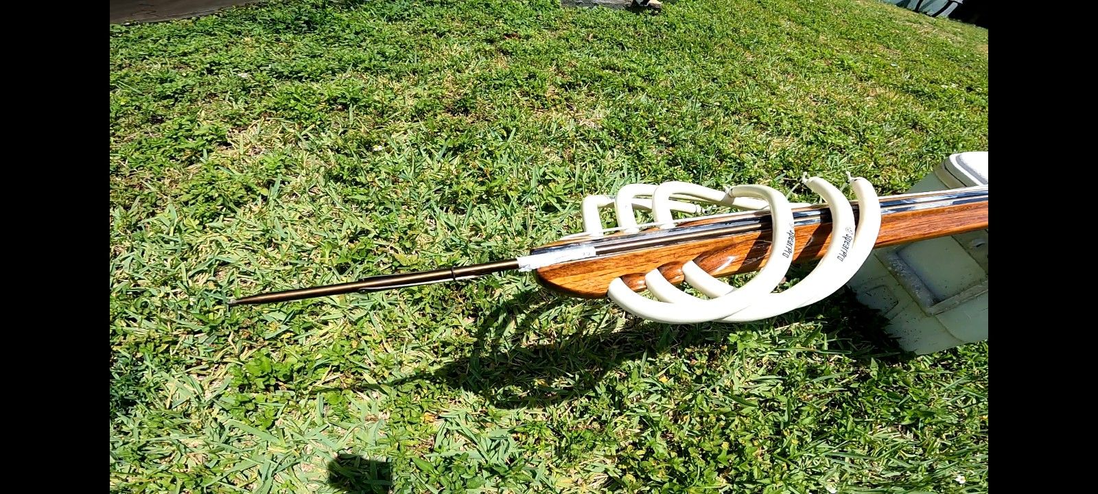 Spearfishing Harpoon
