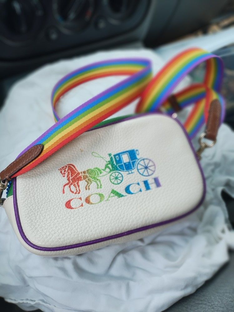 Convertible Belt Bag Rainbow Horse Bag