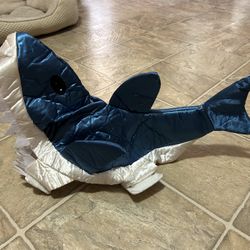 Dog Shark Costume