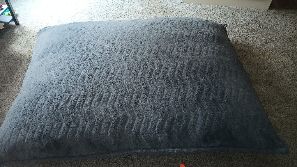 Costco Lounge and Co Crash Pillow for Sale in Redmond, WA OfferUp