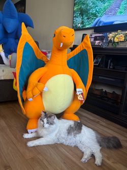 Peluches