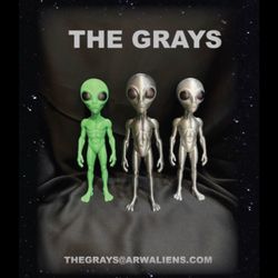 The GRAYS Aliens