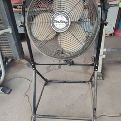 Fan