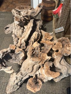 Coffee Table with Root Base - One of a Kind