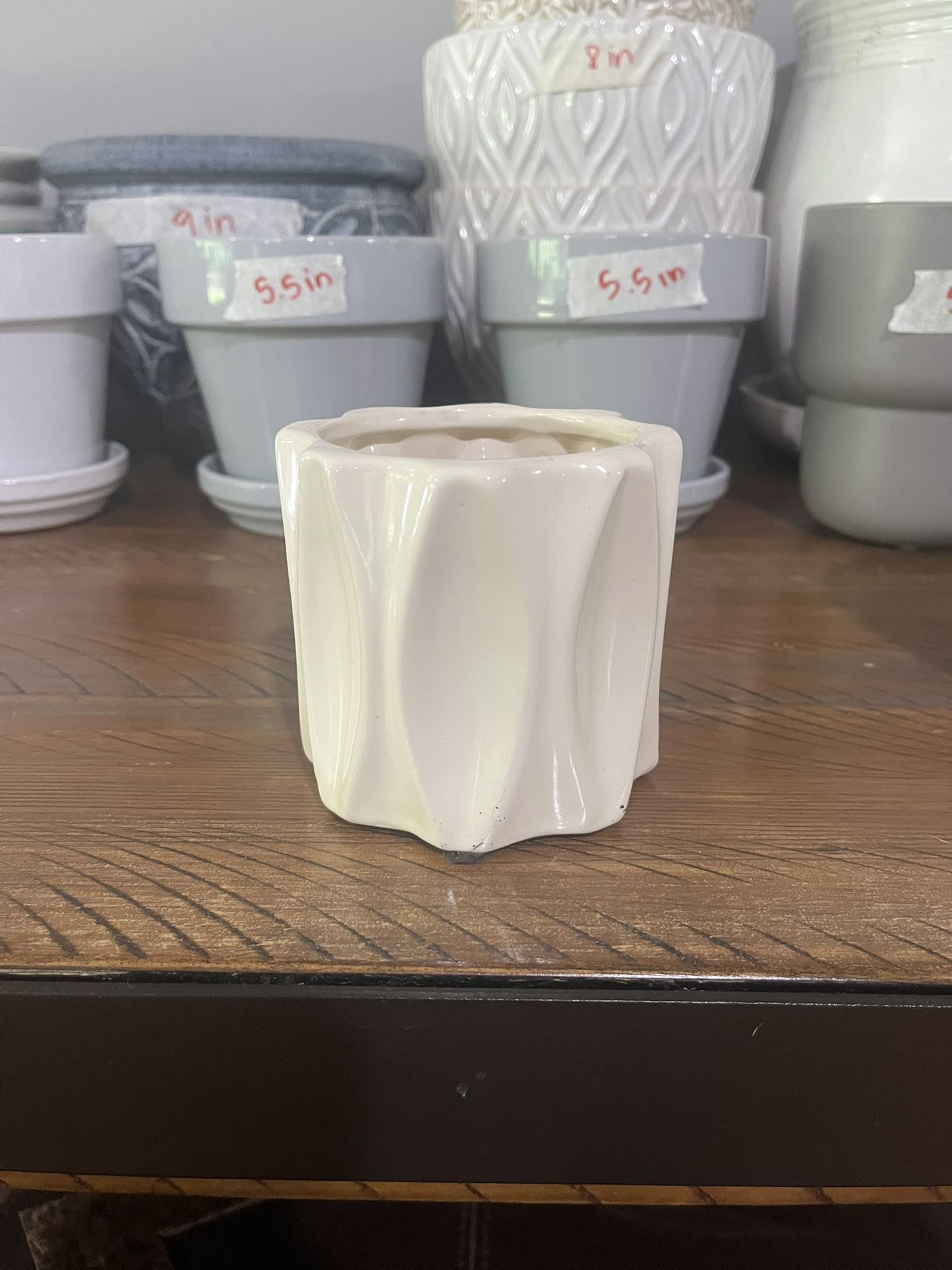 Plant Pot