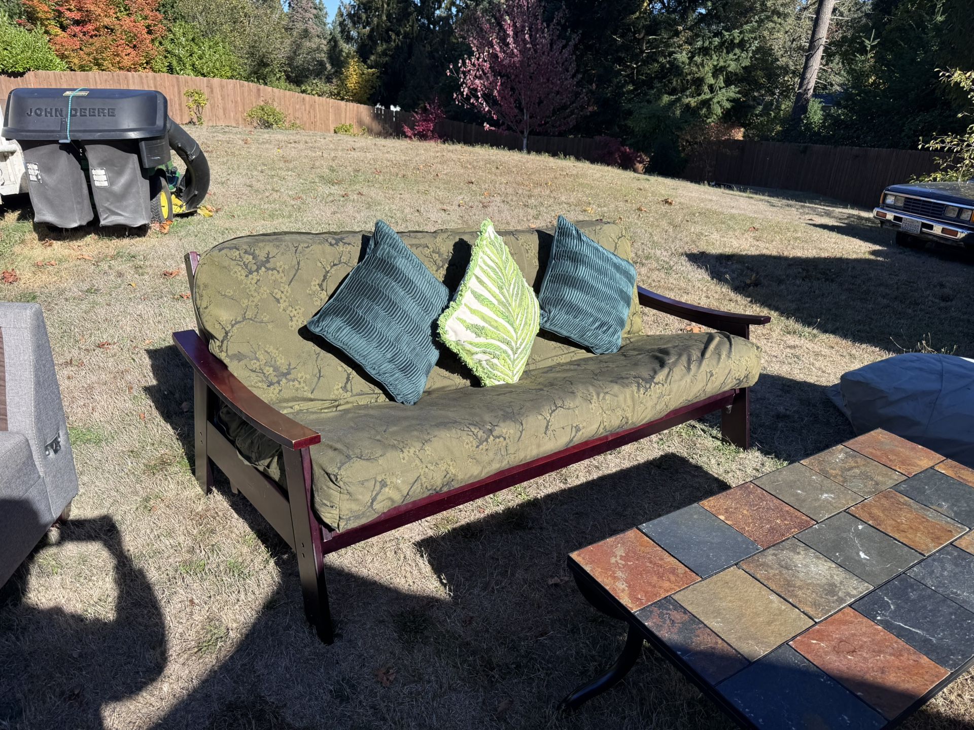 Futon, Mattress And Pillows 