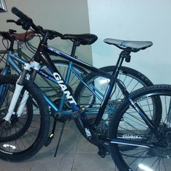 Bike Giant 