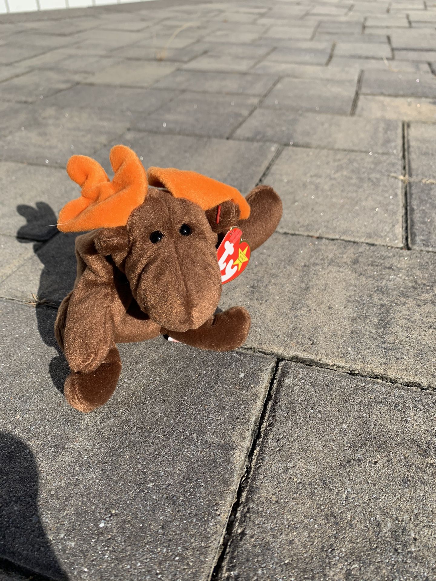Chocolate- Beanie Babies