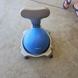 Balance Ball Chair