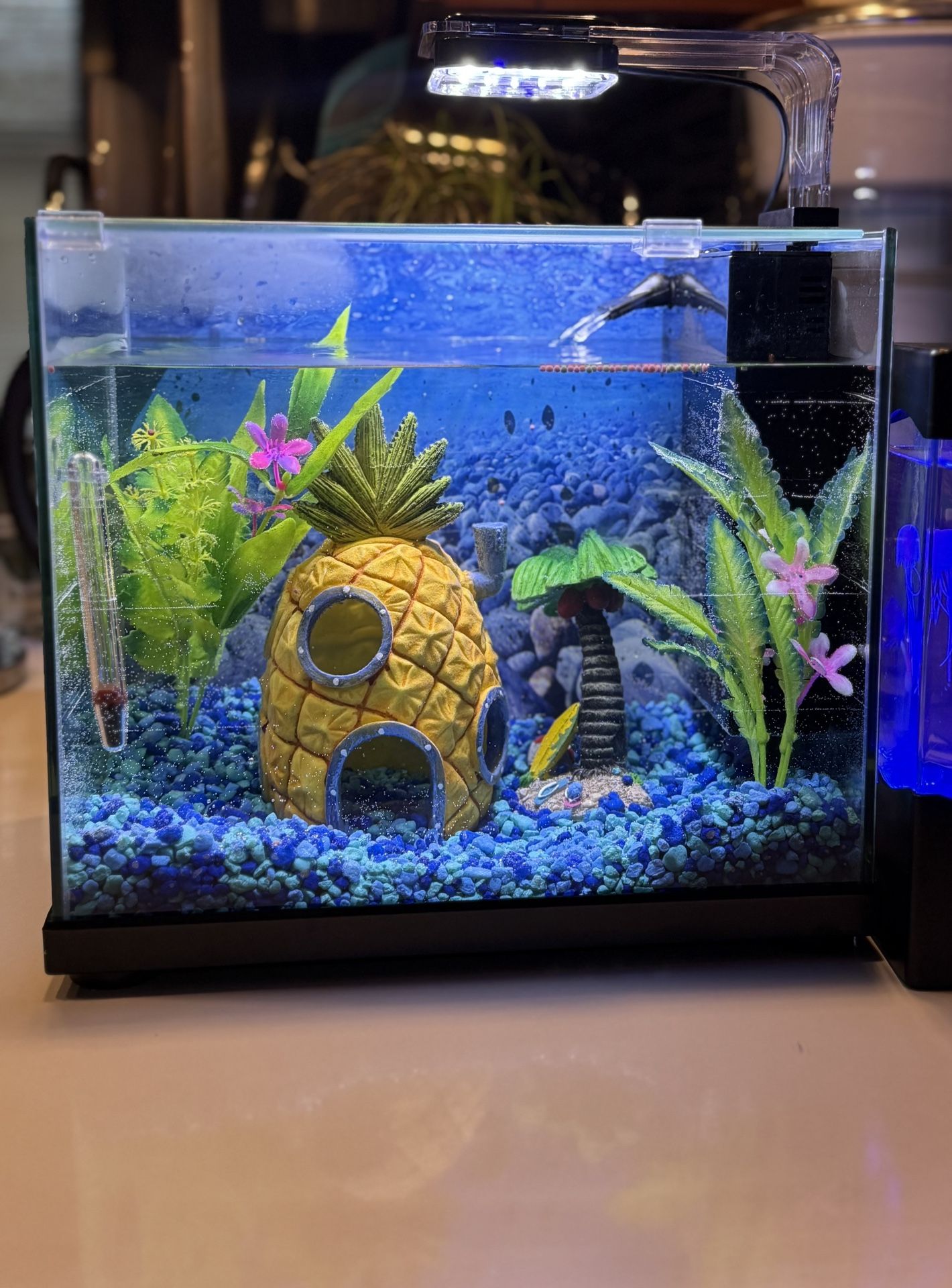 Aquarium + accessories