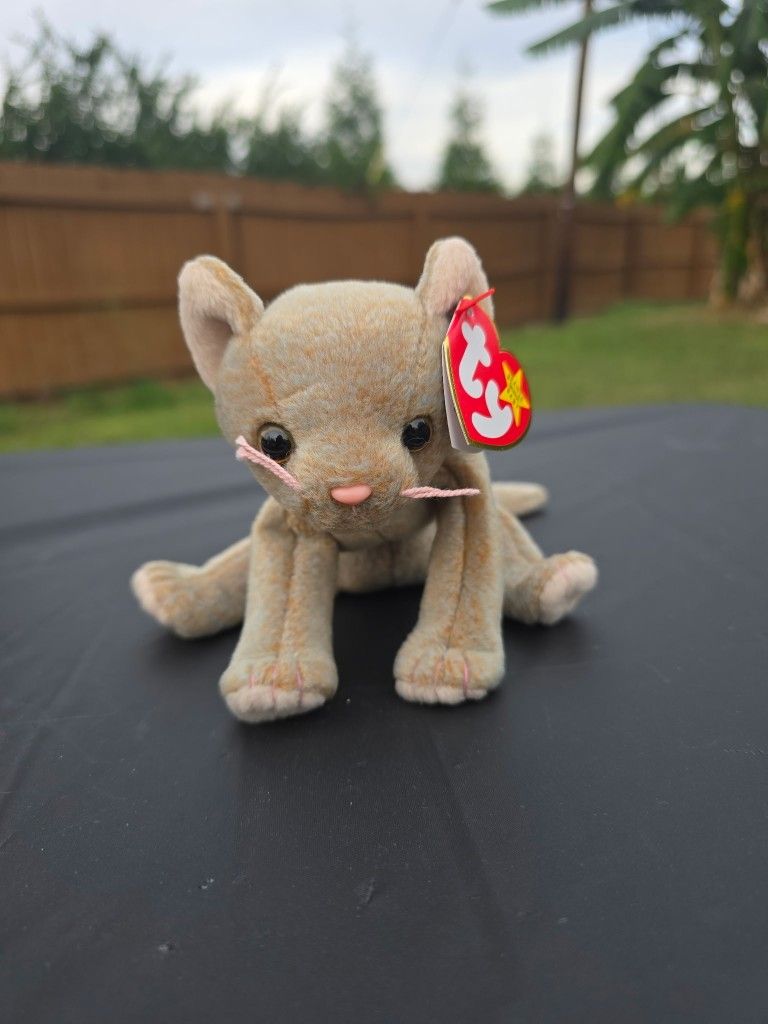 TY 1998 Scat Beanie Baby 