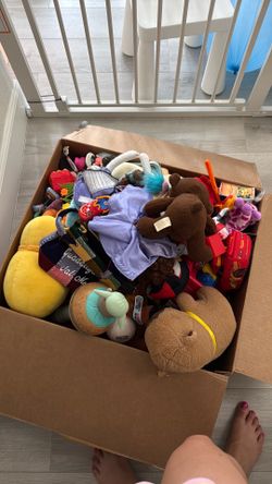 FREE TOYS