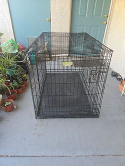XL collapsible dog kennel