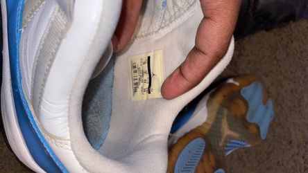Jordan 11 lows