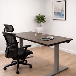 Adjustable Desk 