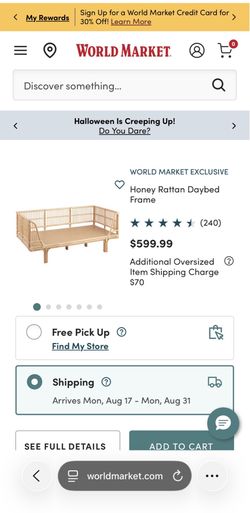 Rattan World Market Daybed