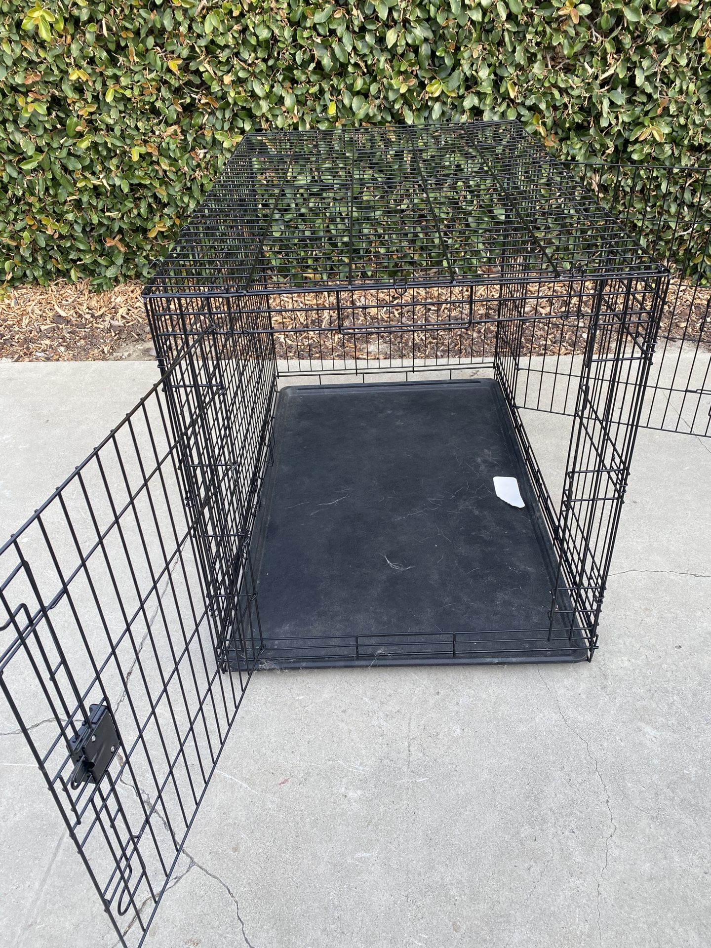 Dog Crate