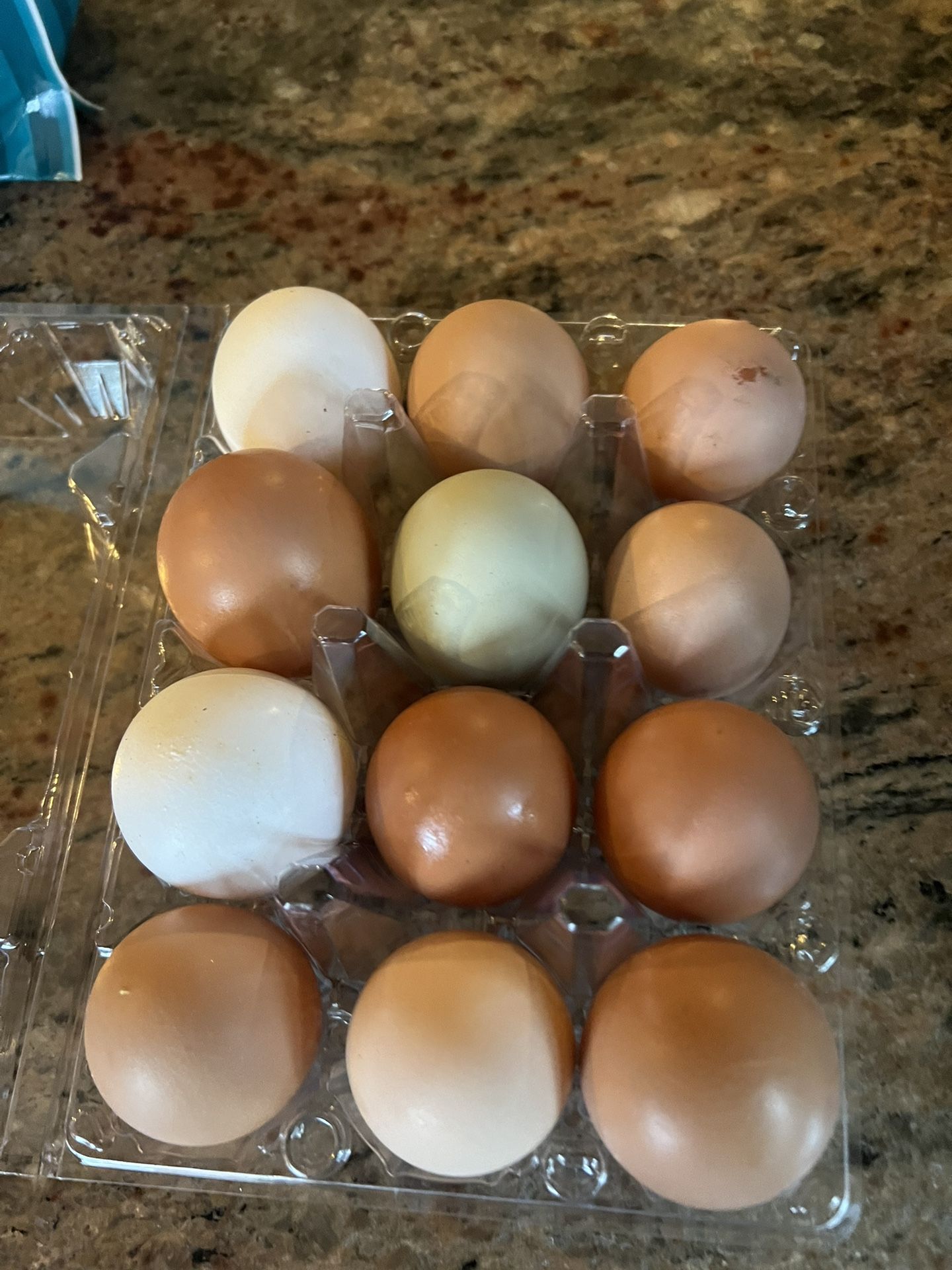 Farm Fresh Eggs