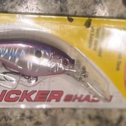 Fishing Lure