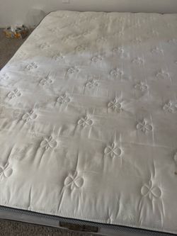 FREE - sectional couch, lamp, bed side table, 2 queen beds, 1 bed frame & closet hanger orangizer